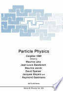Particle Physics [E-Book] : Cargèse 1989 /