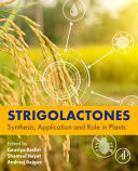 Strigolactones : synthesis, application and role in plants /