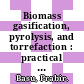 Biomass gasification, pyrolysis, and torrefaction : practical design and theory [E-Book] /