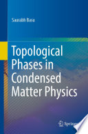 Topological Phases in Condensed Matter Physics [E-Book] /