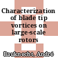 Characterization of blade tip vortices on large-scale rotors /