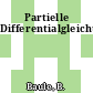 Partielle Differentialgleichungen.