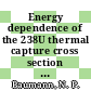 Energy dependence of the 238U thermal capture cross section : this paper is proposed for presentation at the American Nuclear Society annual meeting Las Vegas, Nevada June 8 - 13, 1980 [E-Book] /
