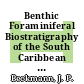 Benthic Foraminiferal Biostratigraphy of the South Caribbean Region [E-Book] /