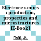 Electroceramics : production, properties and microstructures [E-Book] /