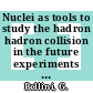 Nuclei as tools to study the hadron hadron collision in the future experiments at the serpukhov accelerator and at the cern sps : Trieste, 10.06.76-15.06.76.