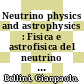 Neutrino physics and astrophysics : Fisica e astrofisica del neutrino [E-Book] /
