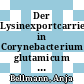 Der Lysinexportcarrier in Corynebacterium glutamicum : Topologie und Regulation /