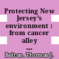Protecting New Jersey's environment : from cancer alley to the new Garden State [E-Book] /