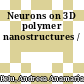 Neurons on 3D polymer nanostructures /