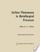 Surface Phenomena in Metallurgical Processes [E-Book] : Proceedings of an Interinstitute Conference /