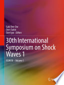 30th International Symposium on Shock Waves 1 [E-Book] : ISSW30 - Volume 1 /