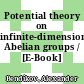 Potential theory on infinite-dimensional Abelian groups / [E-Book]