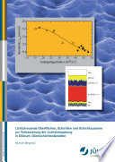 Lichtstreuende Oberflächen, Schichten und Schichtsysteme zur Verbesserung der Lichteinkopplung in Silizium-Dünnschichtsolarzellen [E-Book] /