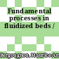 Fundamental processes in fluidized beds /