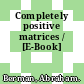 Completely positive matrices / [E-Book]