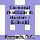 Chemical reactions in clusters / [E-Book]