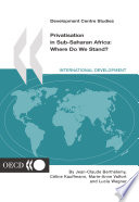 Privatisation in Sub-Saharan Africa [E-Book]: Where Do We Stand? /