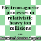 Electromagnetic processes in relativistic heavy ion collisions [E-Book] /