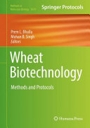Wheat Biotechnology [E-Book] : Methods and Protocols /