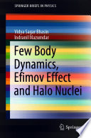 Few Body Dynamics, Efimov Effect and Halo Nuclei [E-Book] /