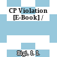 CP Violation [E-Book] /