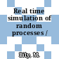 Real time simulation of random processes /