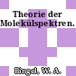 Theorie der Molekülspektren.