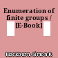 Enumeration of finite groups / [E-Book]