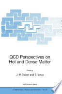 QCD Perspectives on Hot and Dense Matter [E-Book] /