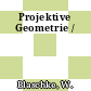 Projektive Geometrie /