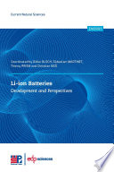Li-Ion Batteries : Development and Perspectives [E-Book]