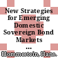 New Strategies for Emerging Domestic Sovereign Bond Markets [E-Book] /