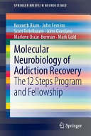 Molecular neurobiology of addiction recovery : the 12 steps program and fellowship [E-Book] /
