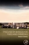 Pyrolysis of biomass for fuels and chemicals /