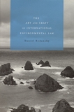 The art and craft of international environmental law /