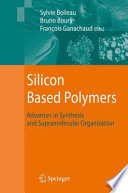 Silicon Based Polymers [E-Book] : Advances in Synthesis and Supramolecular Organization /