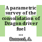 A parametric survey of the consolidation of Dragon driver fuel Bodies ; 1 :b manufacture and preliminary results : [E-Book]