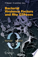 Bacterial Virulence Factors and Rho GTPases [E-Book] /