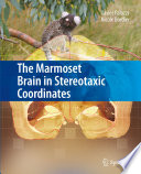 The Marmoset Brain in Stereotaxic Coordinates [E-Book] /
