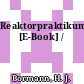 Reaktorpraktikum [E-Book] /
