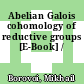 Abelian Galois cohomology of reductive groups [E-Book] /