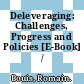 Deleveraging: Challenges, Progress and Policies [E-Book] /