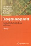 Energiemanagement : Praxisbuch für Fachkräfte, Berater und Manager /