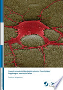 Nanostrukturierte Metallelektroden zur funktionalen Kopplung an neuronale Zellen [E-Book] /