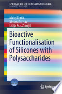 Bioactive Functionalisation of Silicones with Polysaccharides [E-Book] /