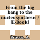 From the big bang to the nucleosynthesis / [E-Book]