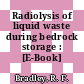 Radiolysis of liquid waste during bedrock storage : [E-Book]