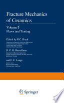 Flaws and Testing [E-Book] /