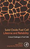 Solid oxide fuel cell lifetime and reliability : critical challenges in fuel cells /
